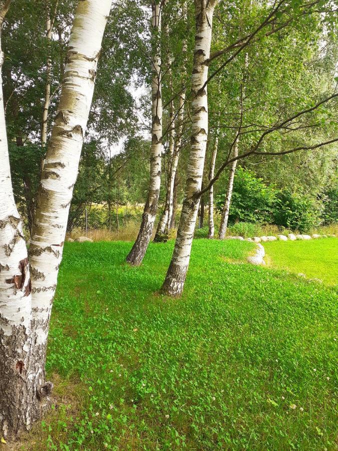Domek Nad Czerwienia Przesieka Esterno foto